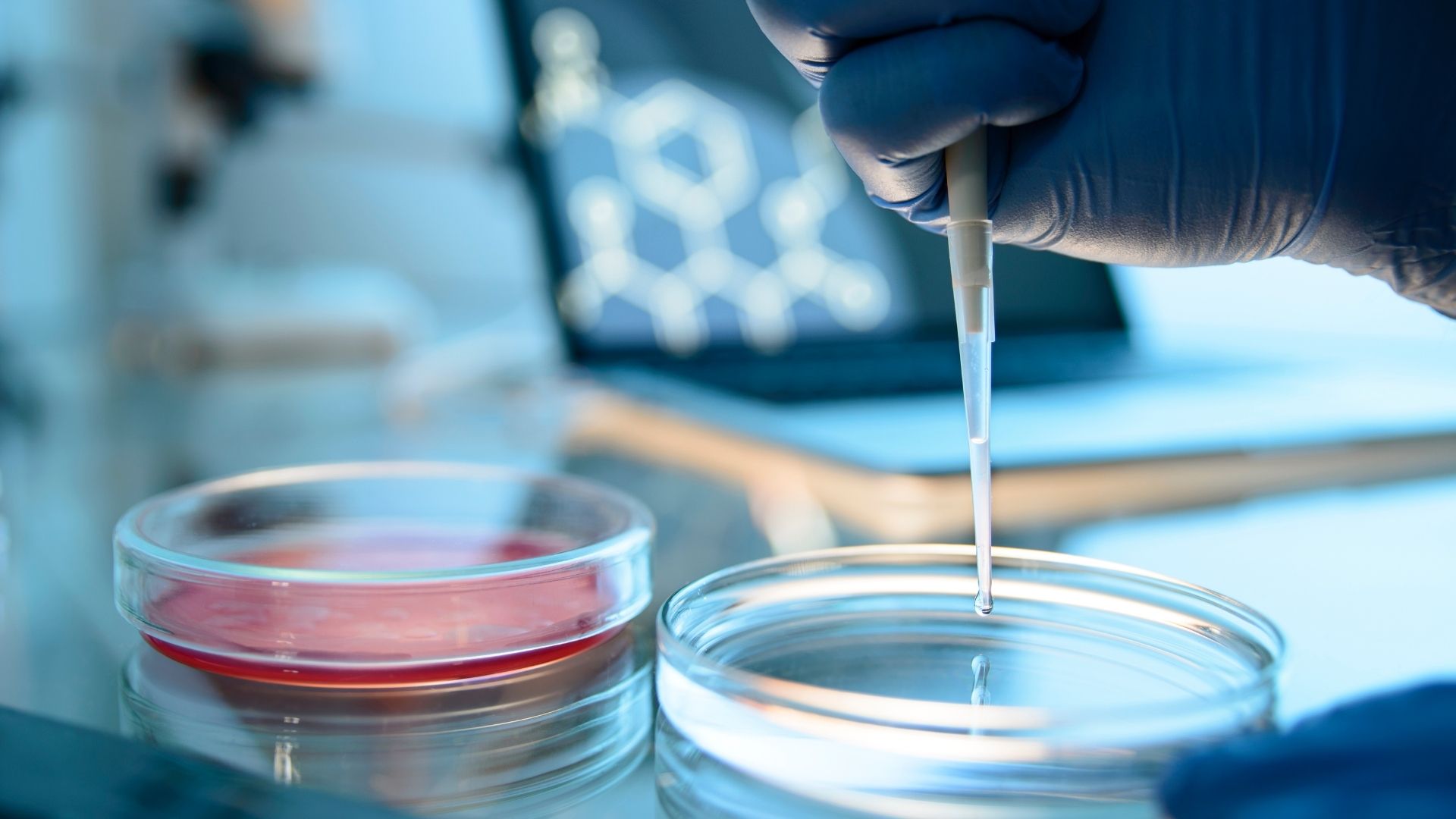 Qalitex Urges Brands to Address Moisture Sensitivity Risks in Powdered Supplement Stability